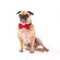 Doggie Bow Tie